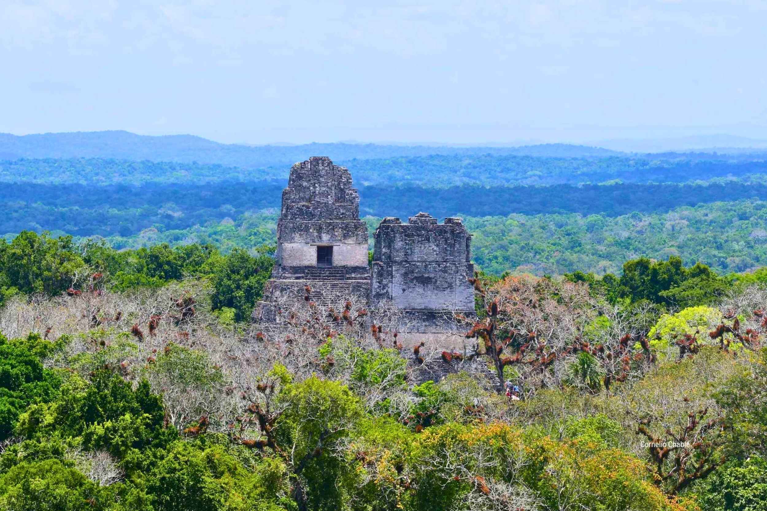 "Maya Trek: La Expedición Definitiva de Aventura y Arqueología en la Selva"